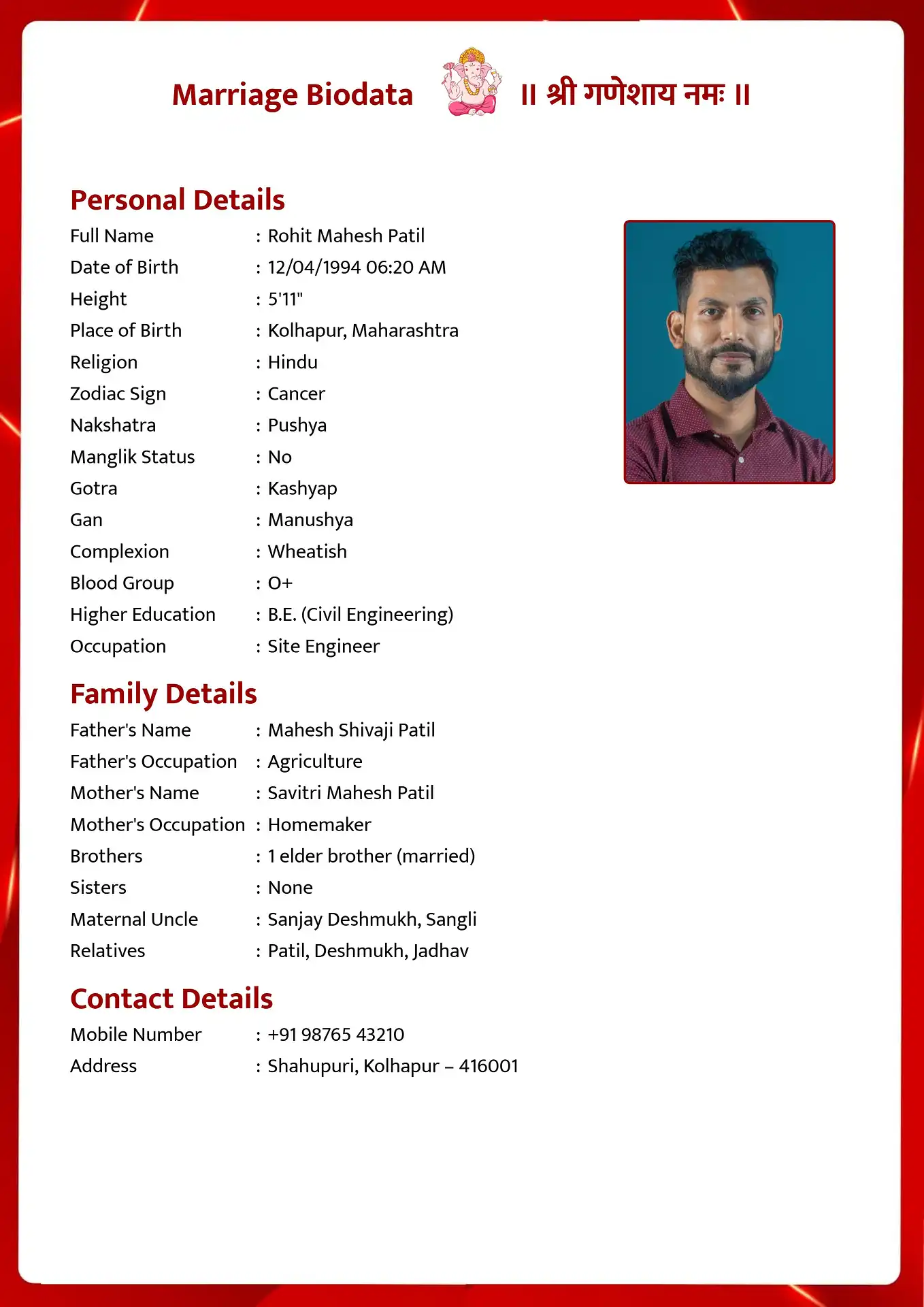 Template 2 biodata template